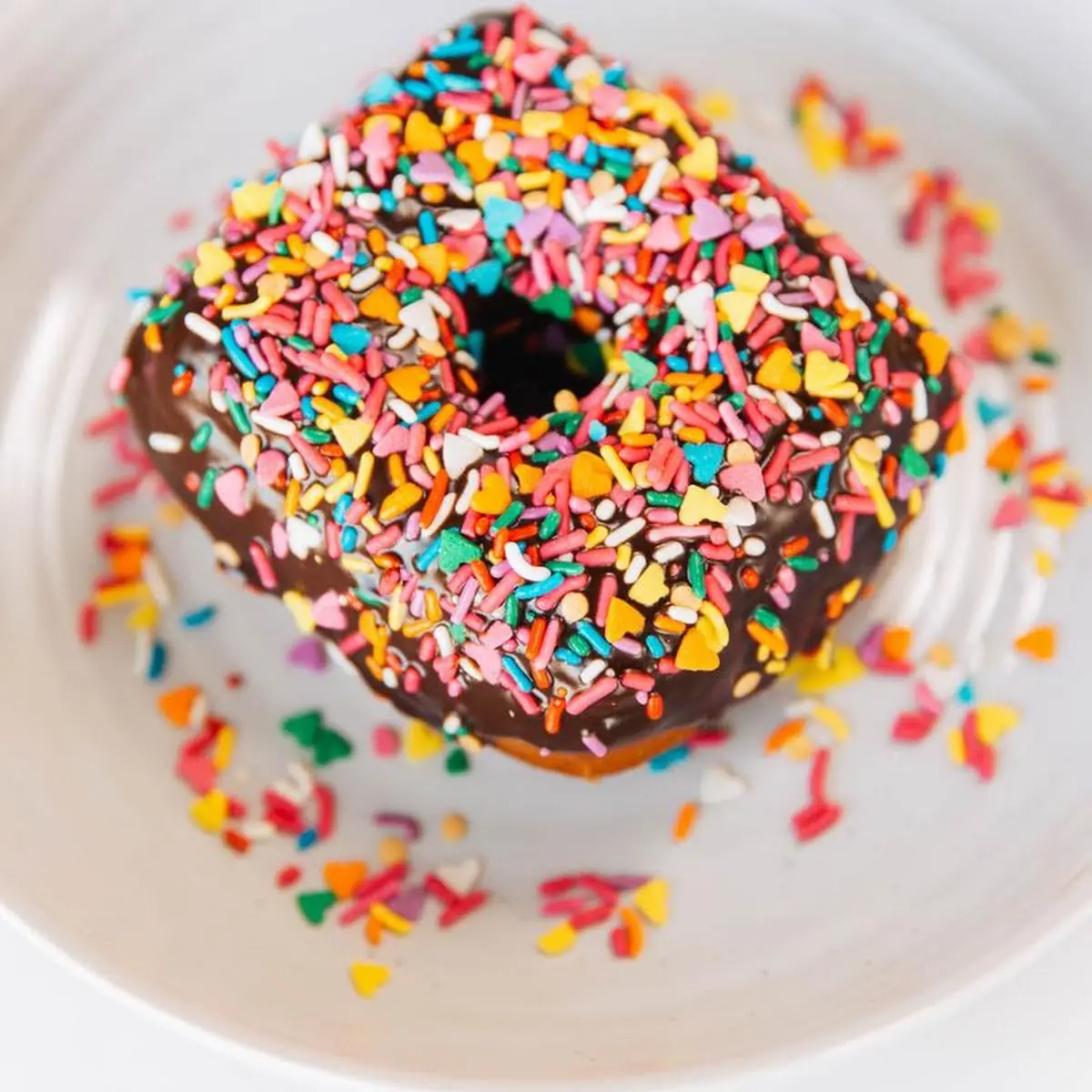Chocolate Sprinkle