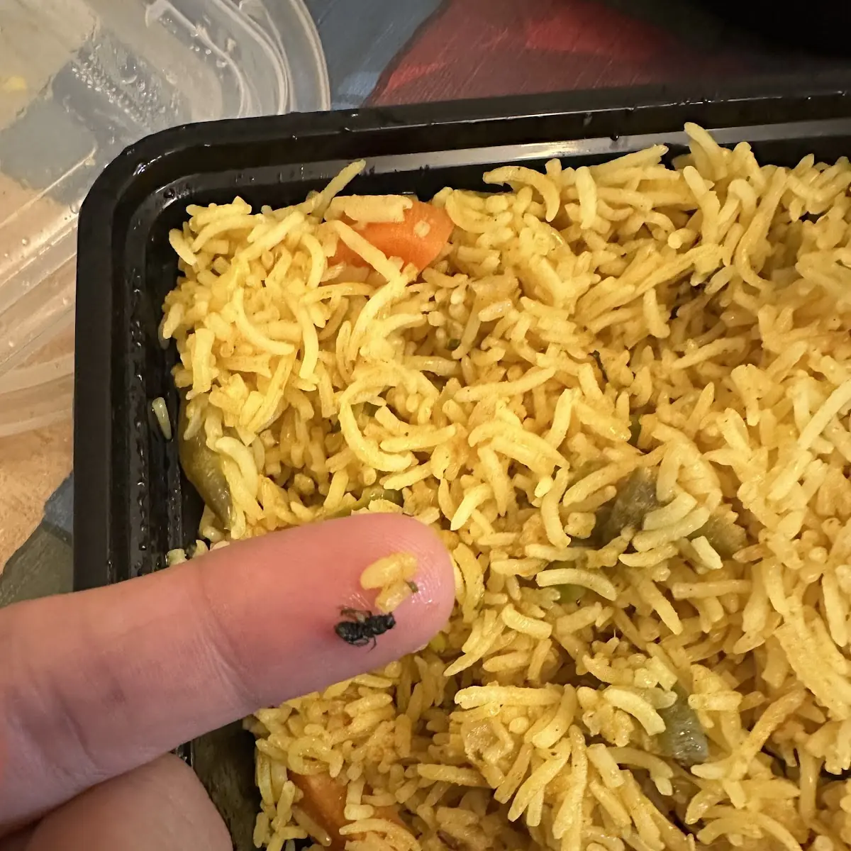 Veg Biryani