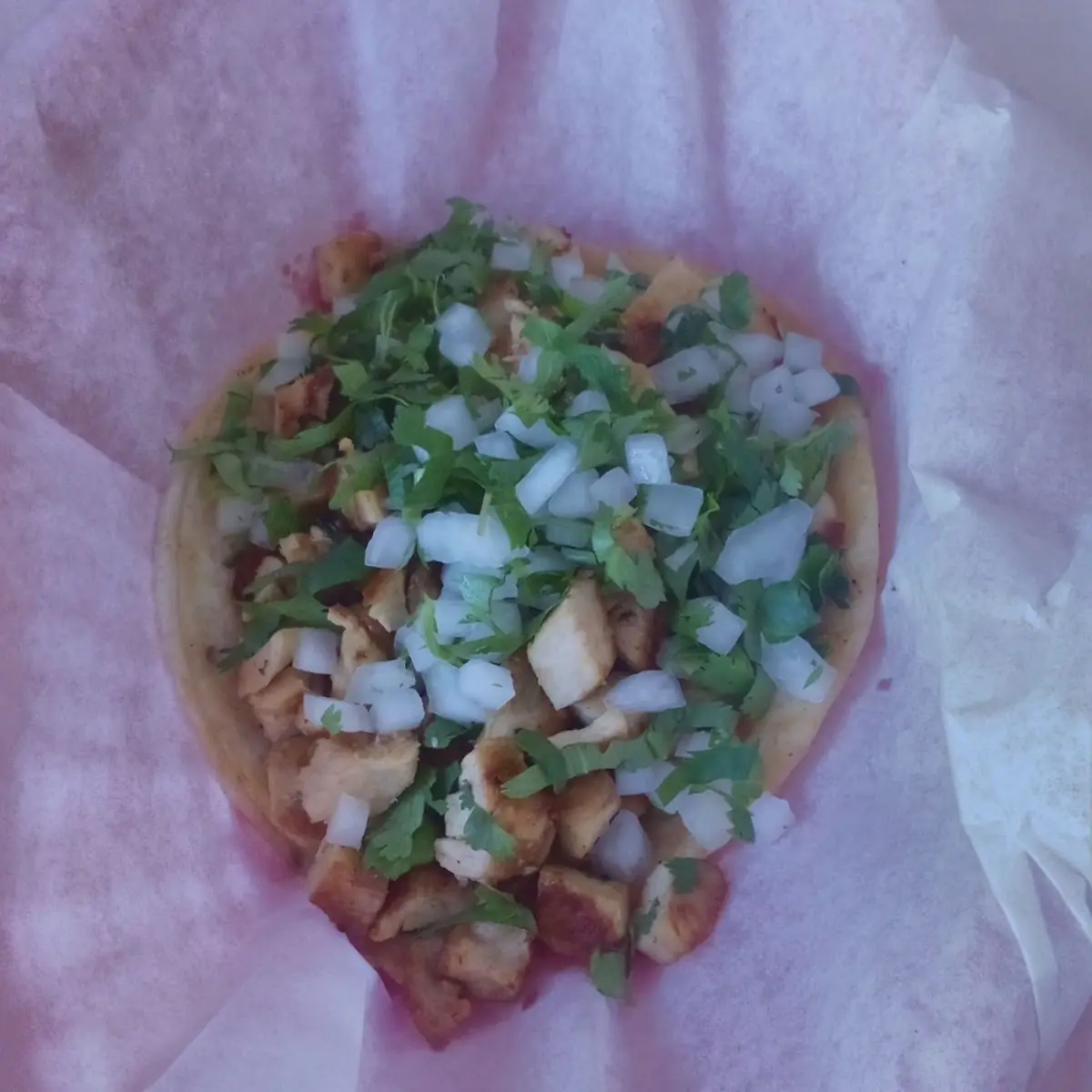 Grilled Chicken Cilantro