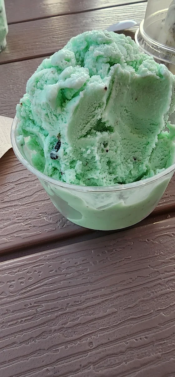 Sugar Free Mint Chocolate