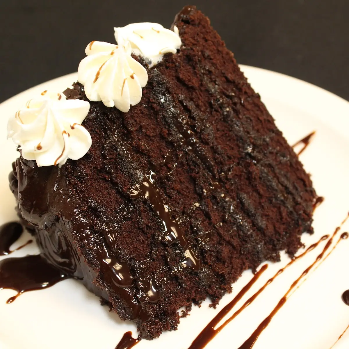 Mississippi Mud Cake