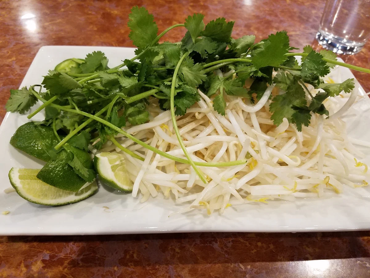 Bean Sprouts and Herbs