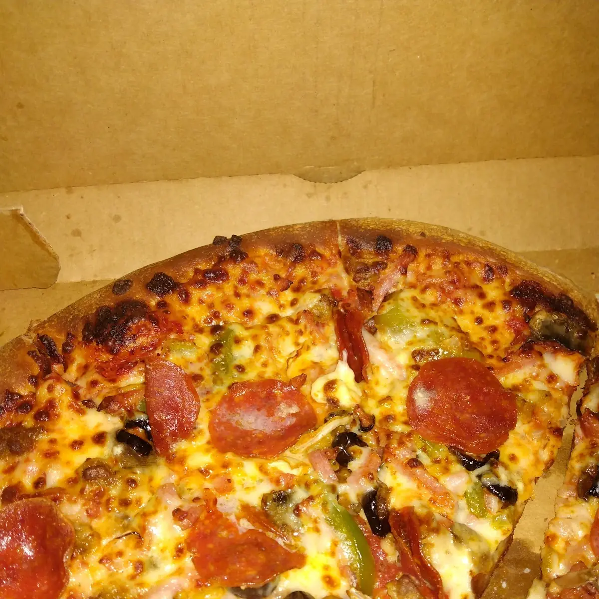 Double Cheeseburger Large Pizza