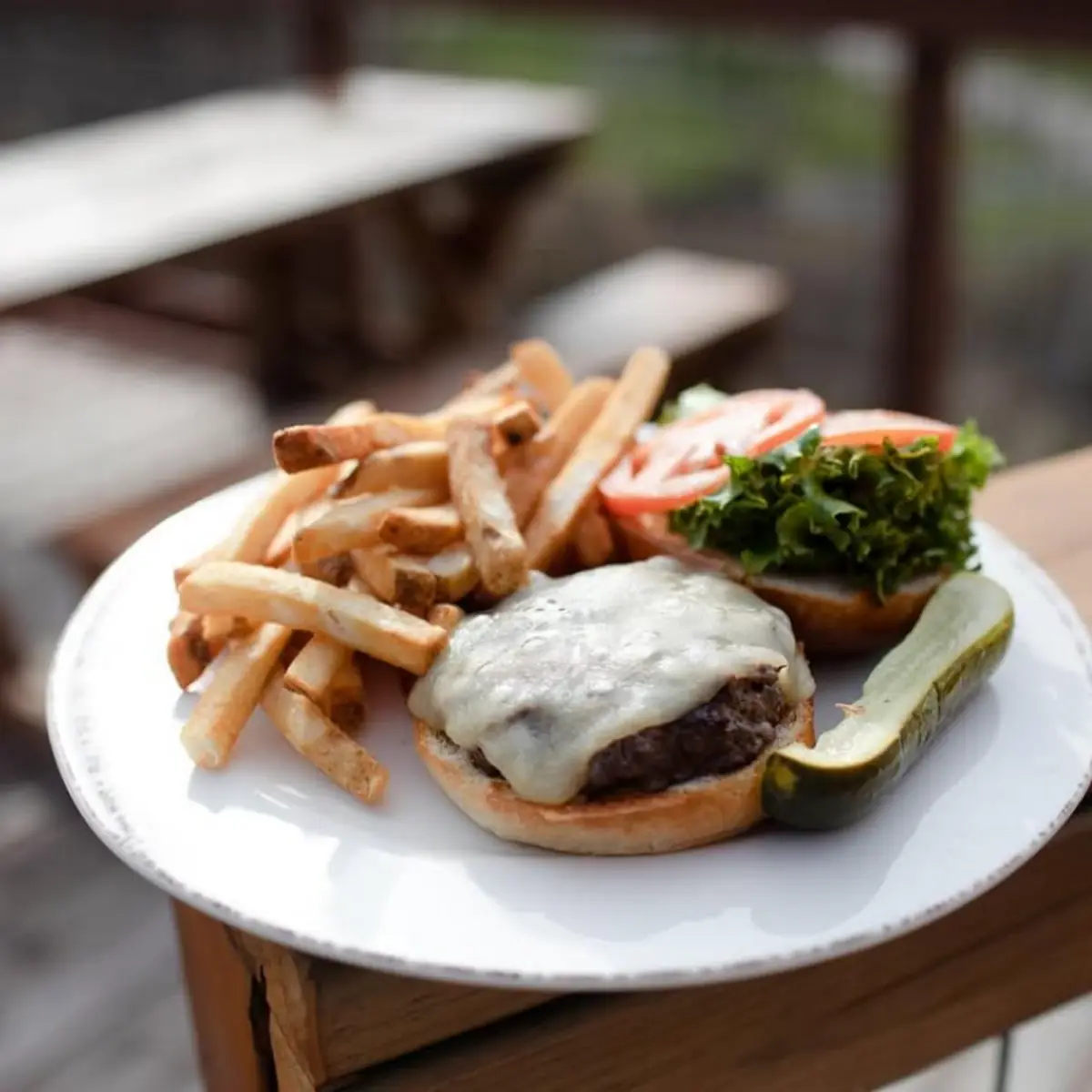 Painted Hills Burger