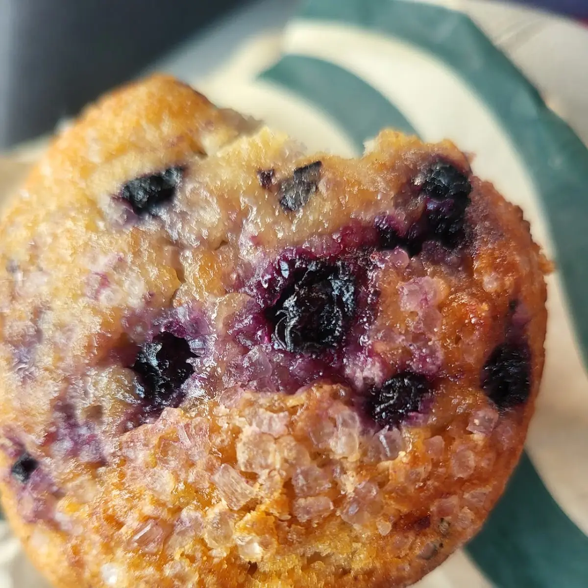 Blueberry Muffin