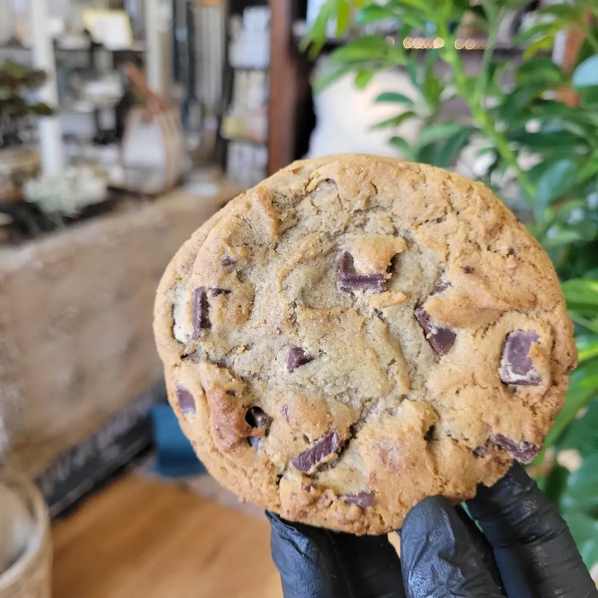 Chocolate Chip Cookie