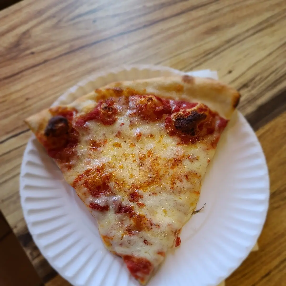 Plain Cheese Pizza