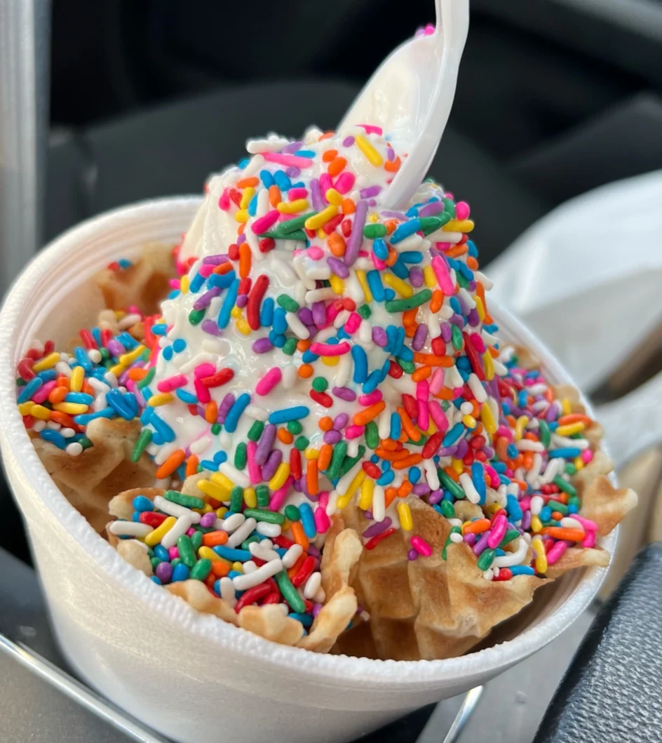 Vanilla Ice Cream and Sprinkles