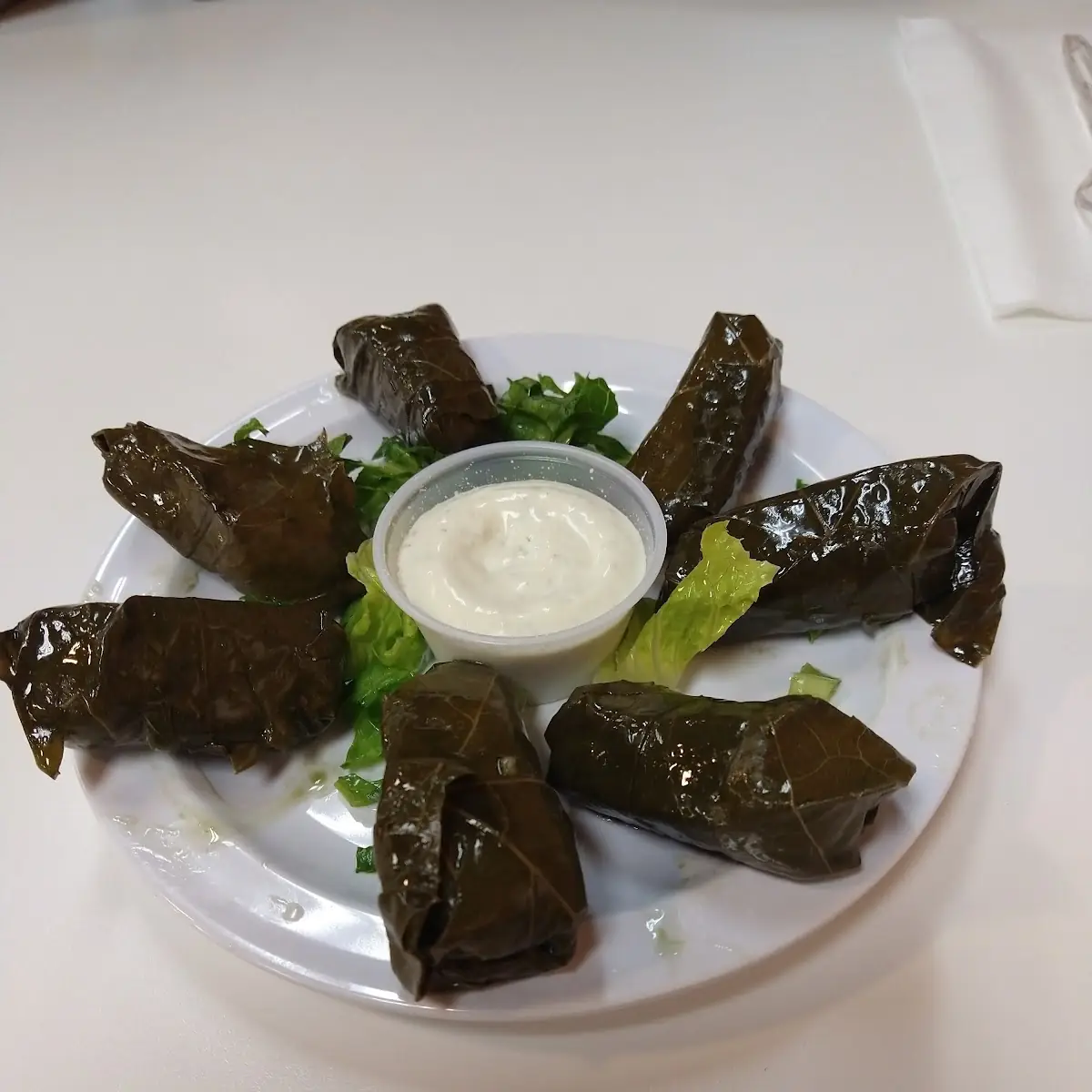 Stuffed Grape Leaves