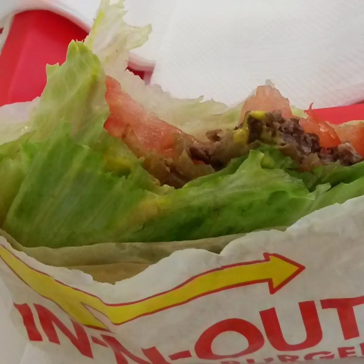Protein Burger