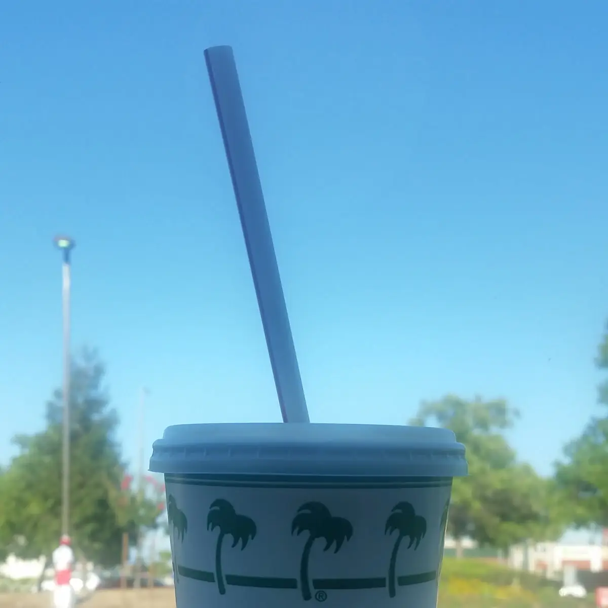 Vanilla Shake