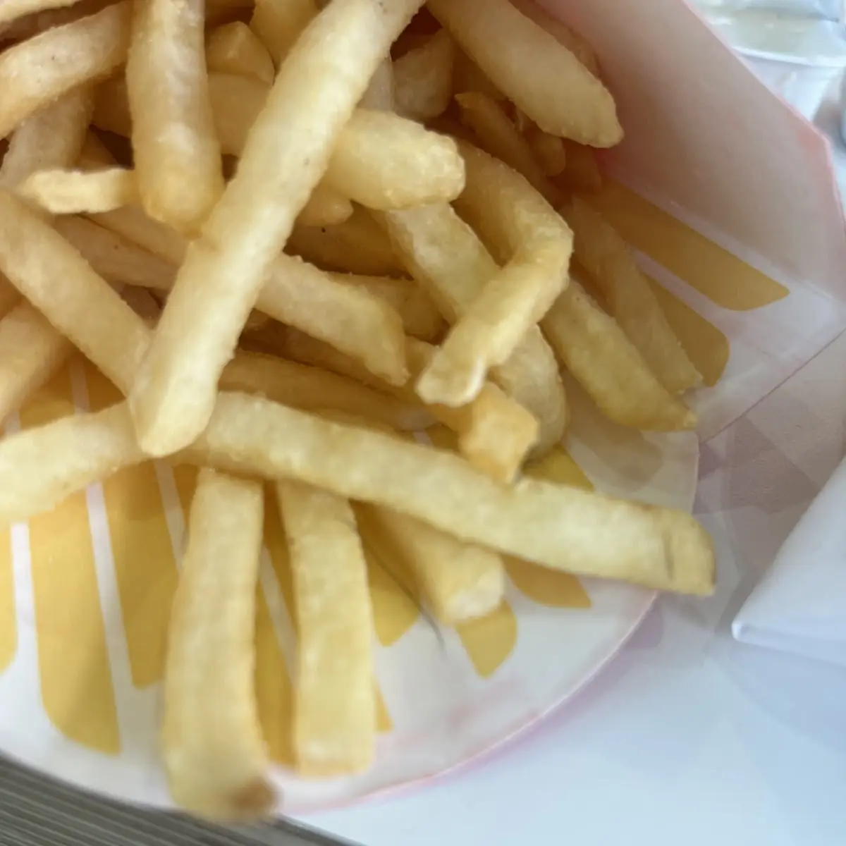 World Famous Fries