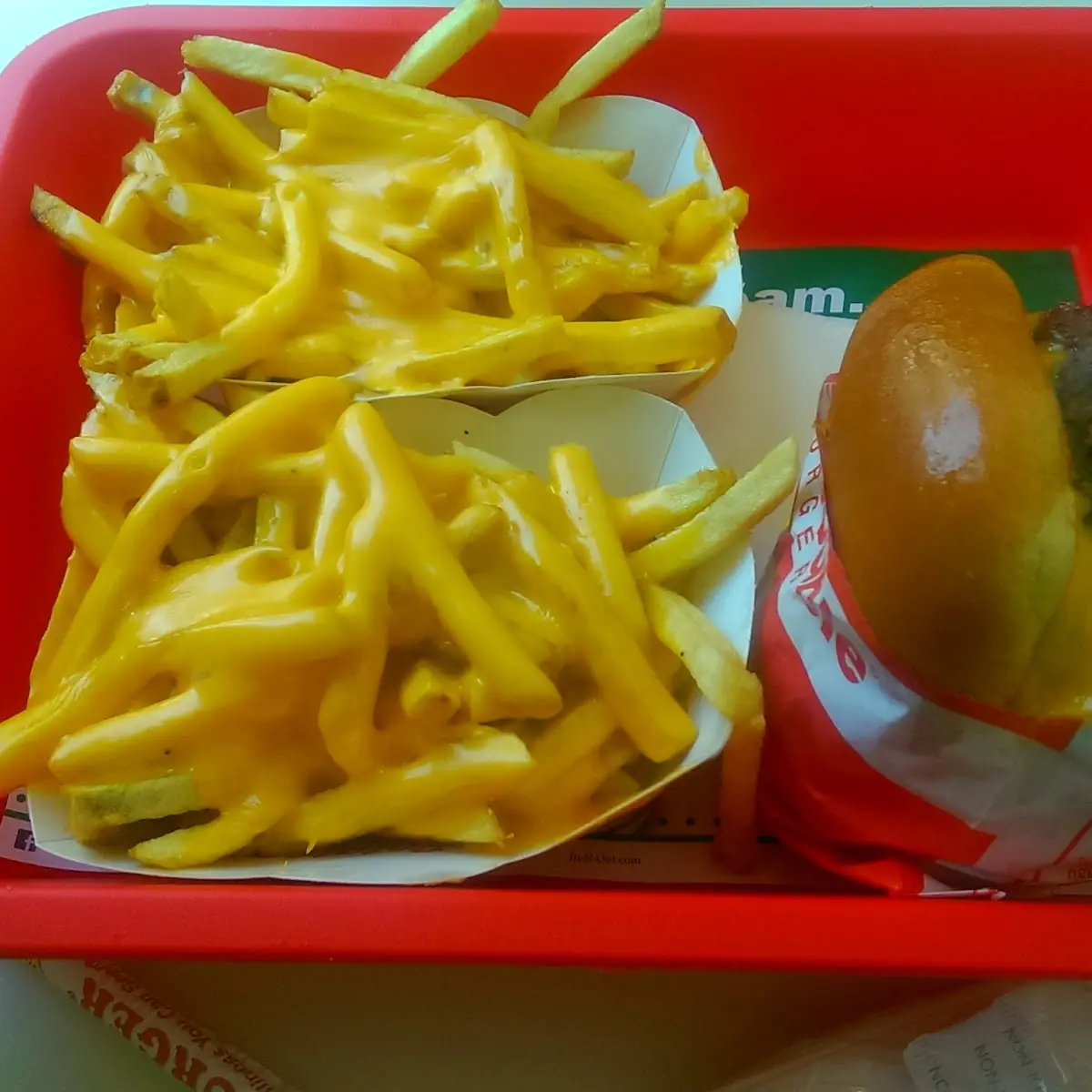 Animal Style Cheese Fries