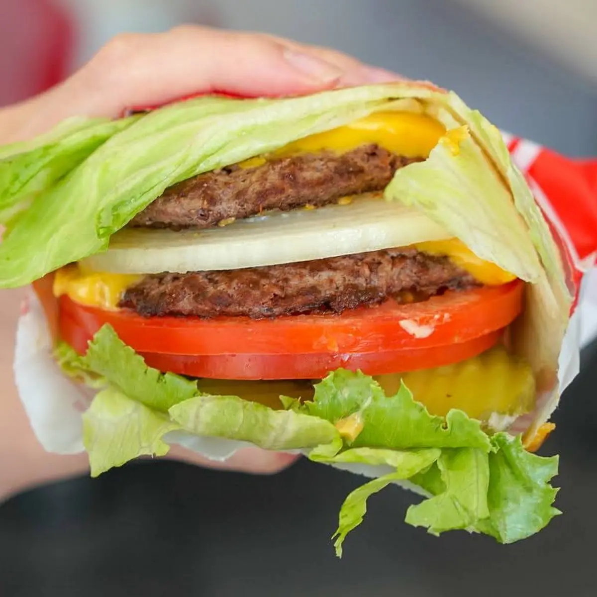 Double Double Cheeseburger Protein Style