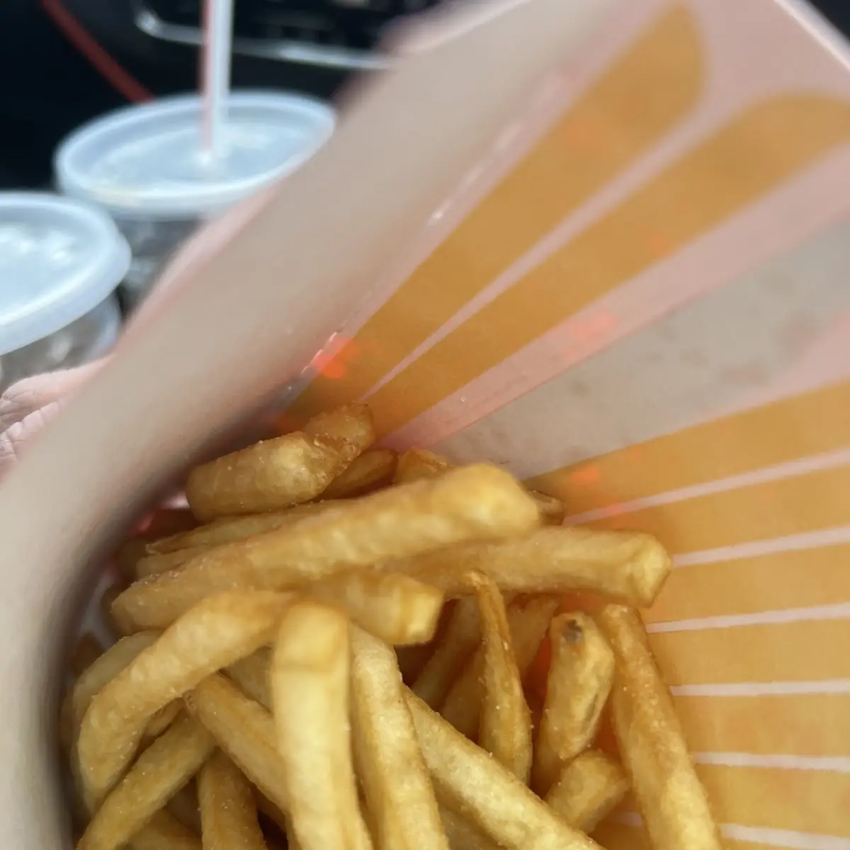 World Famous Fries