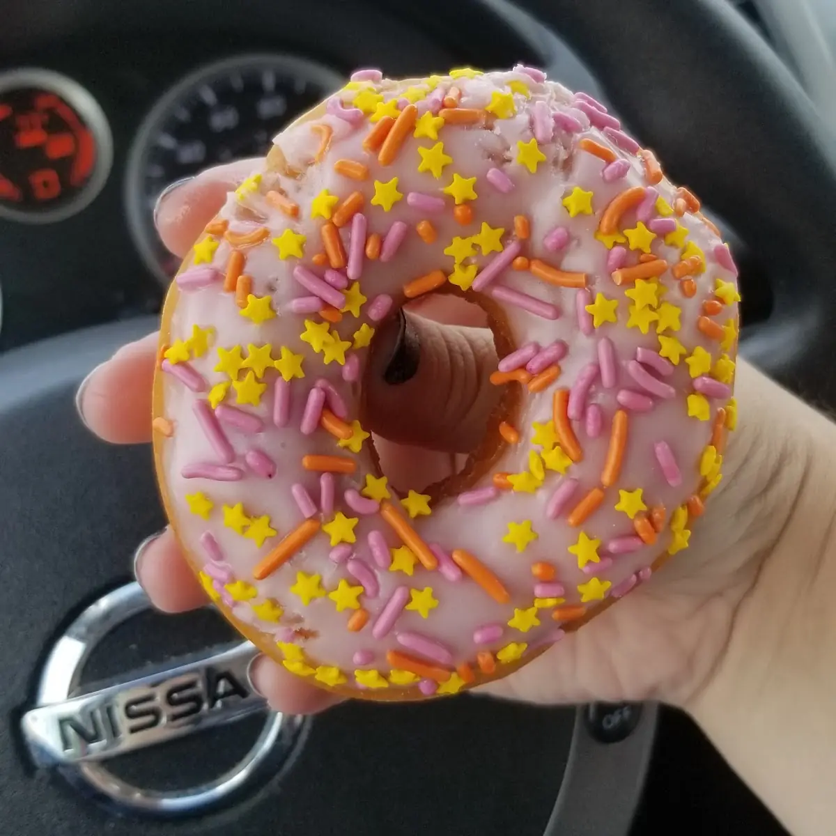 Strawberry Frosted Donut with Sprinkles