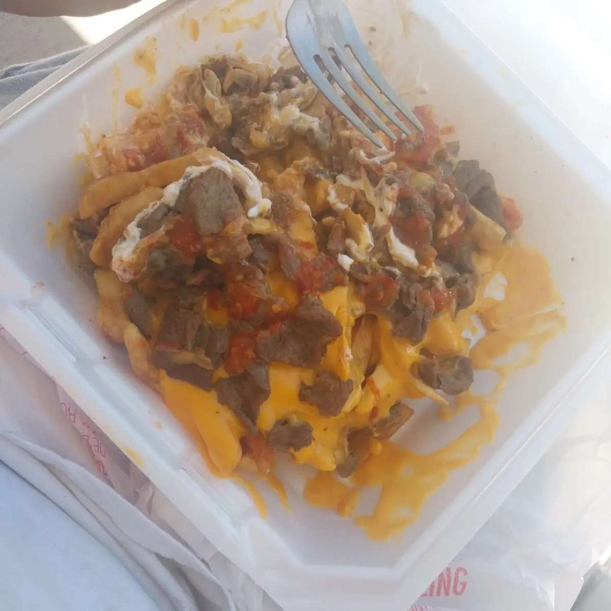 Carne Asada Fries