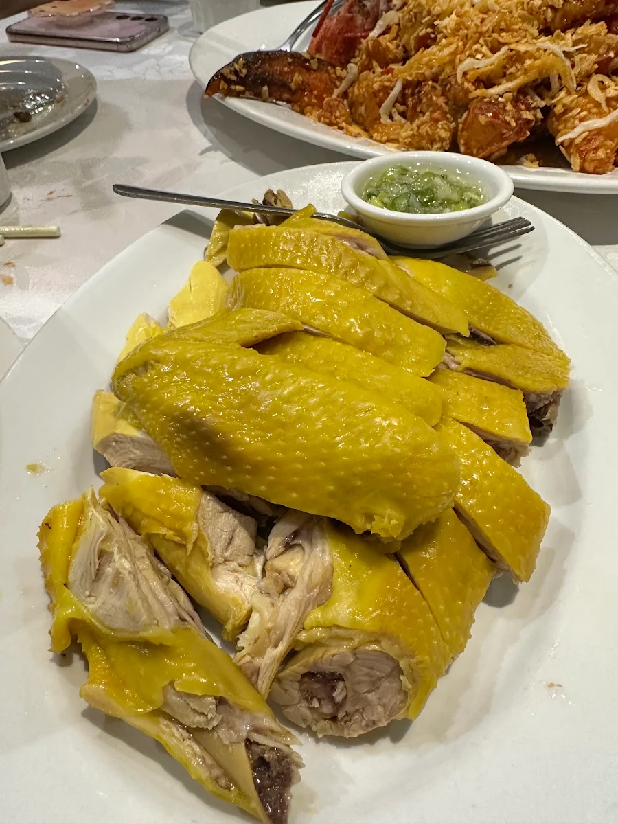 Chicken with Ginger and Green Onions, May Yan Seafood Restaurant 陸福海鮮酒家