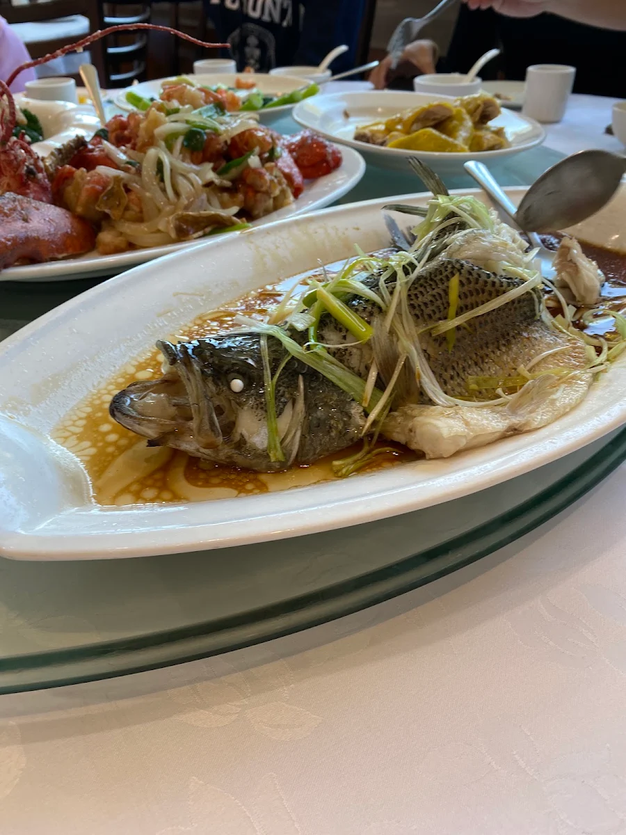 Steamed Sea Bass with Ginger, May Yan Seafood Restaurant 陸福海鮮酒家