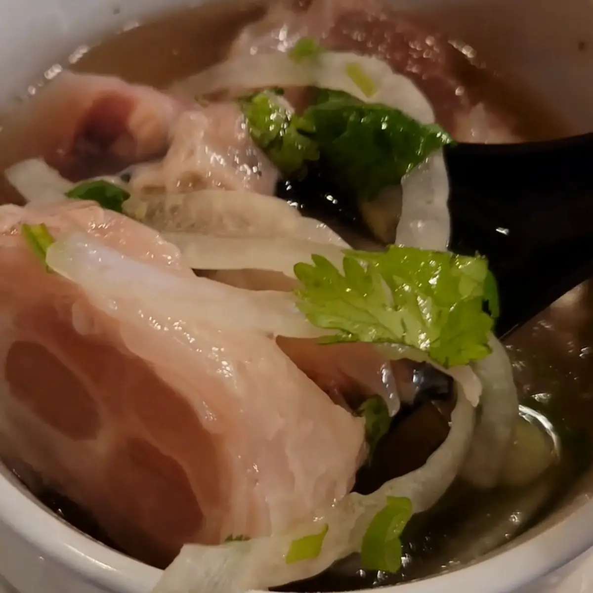 Beef Tendon