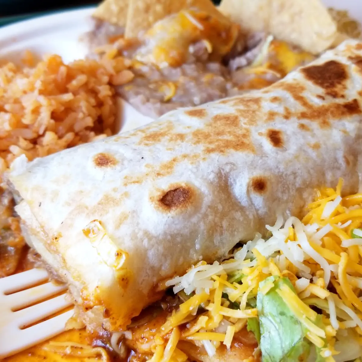 Burrito and Enchilada Plate