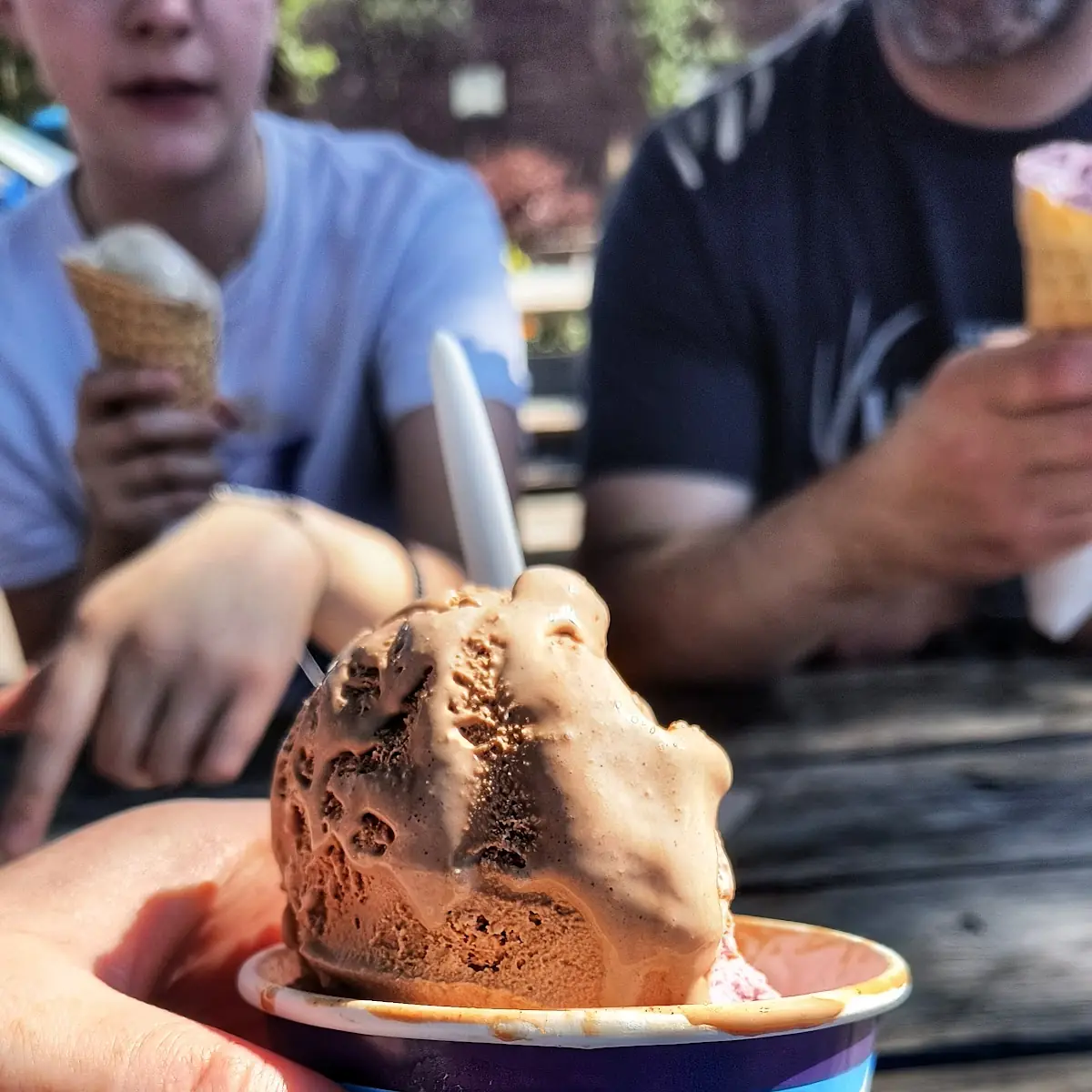 Mexican Chocolate Ice Cream