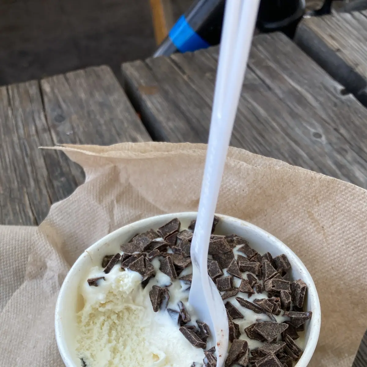 Vanilla Ice Cream with Chocolate Chips