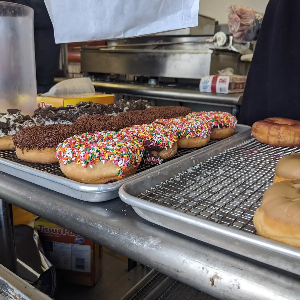 Sprinkle Donut