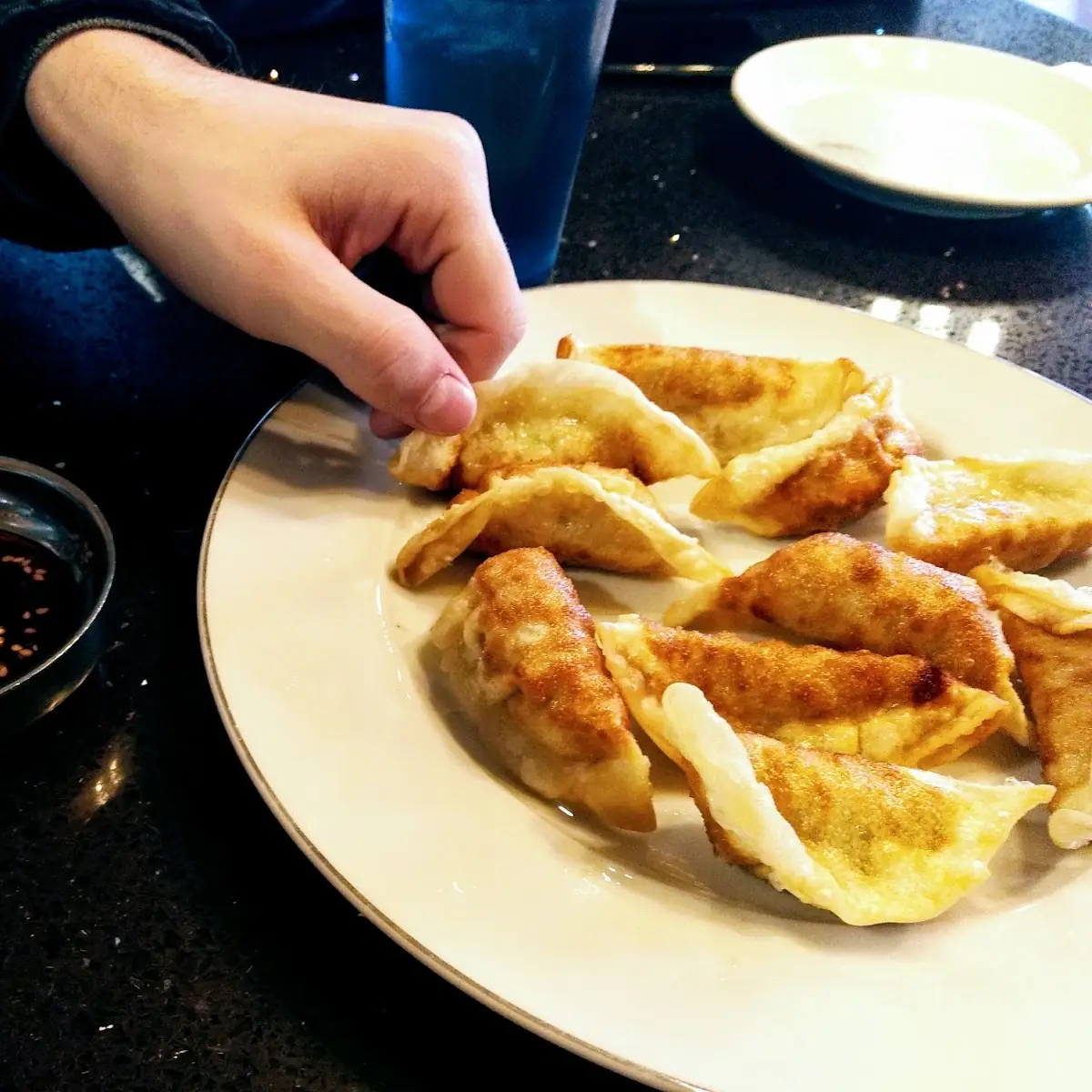 Fried Mandu