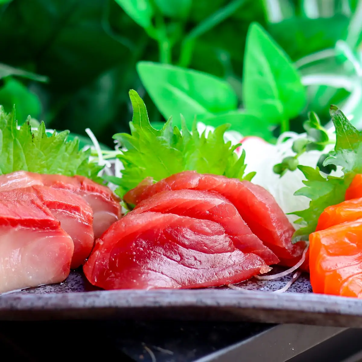 Kind Sashimi