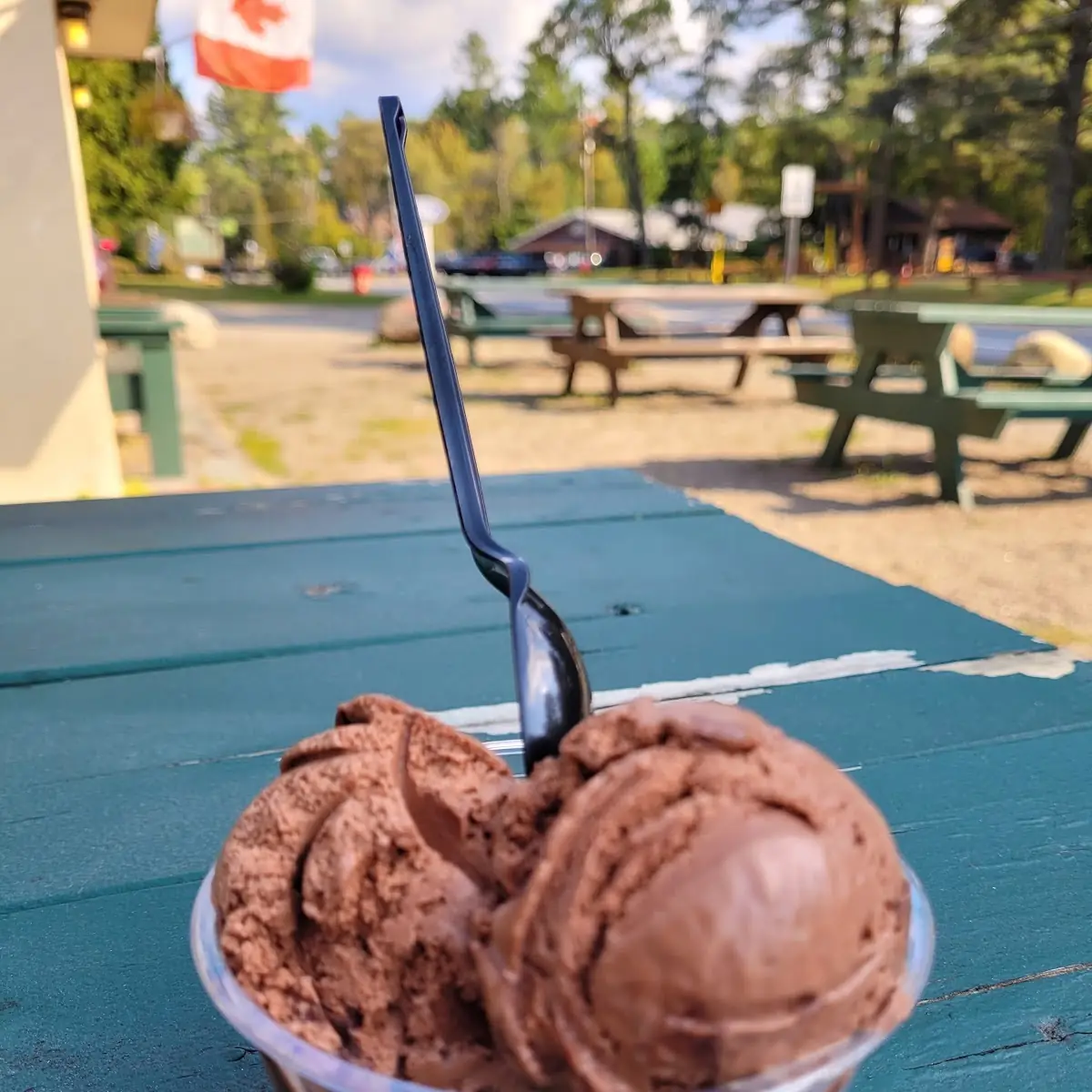 Chocolate Ice Cream