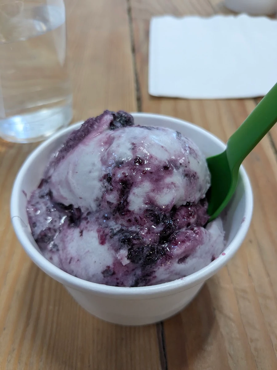 Blueberry Swirl Ice Cream