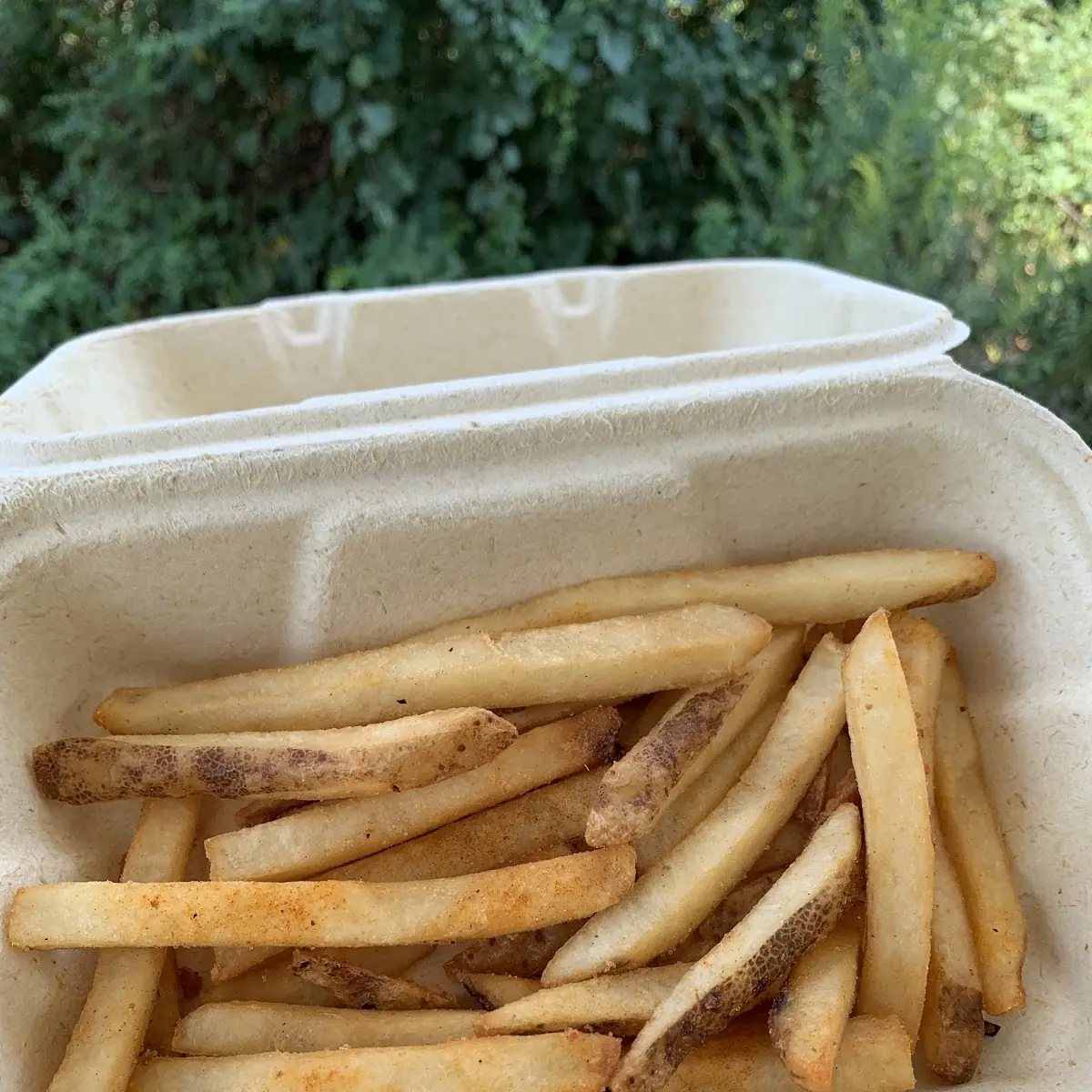Idaho Potato Fries