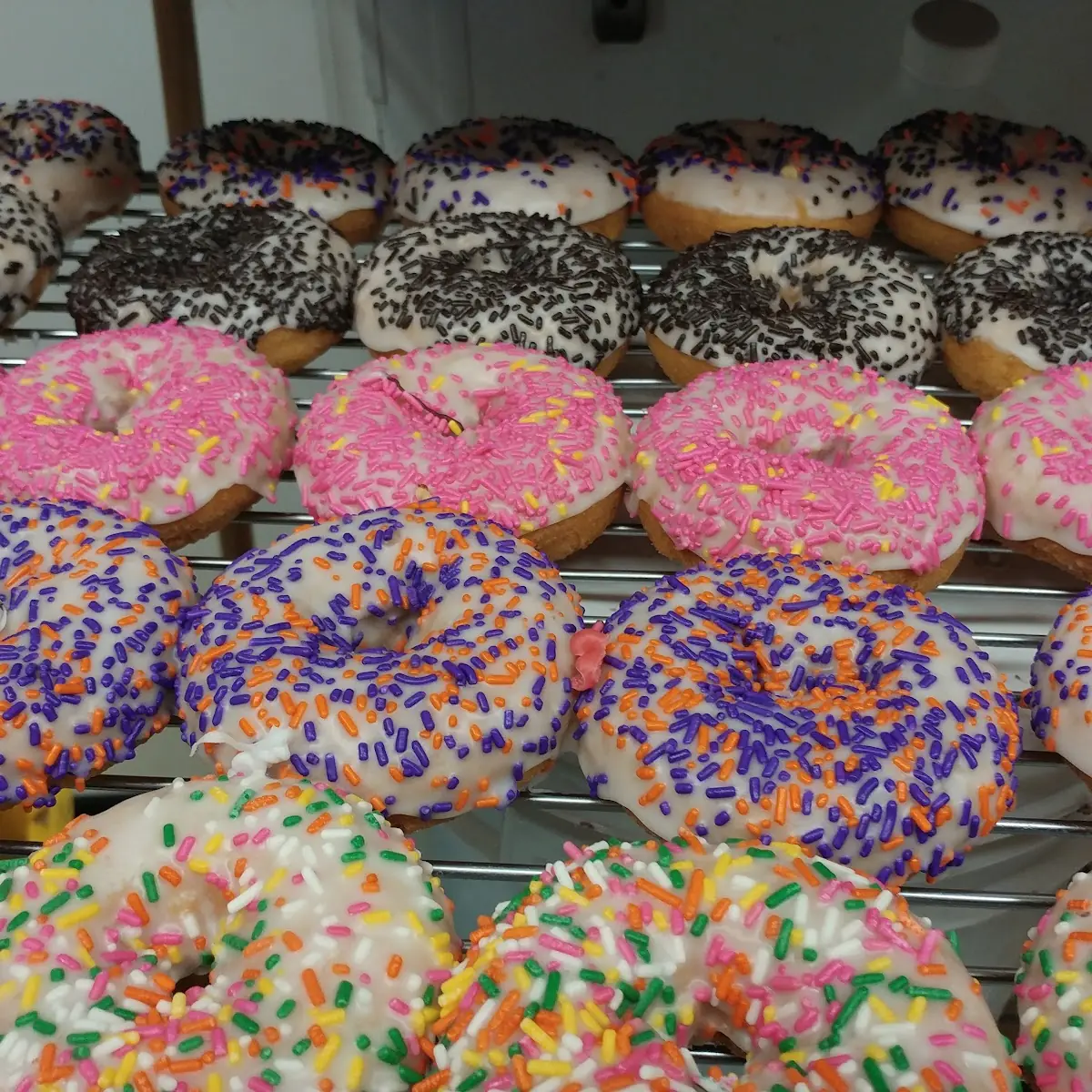 Half Dozen Donuts