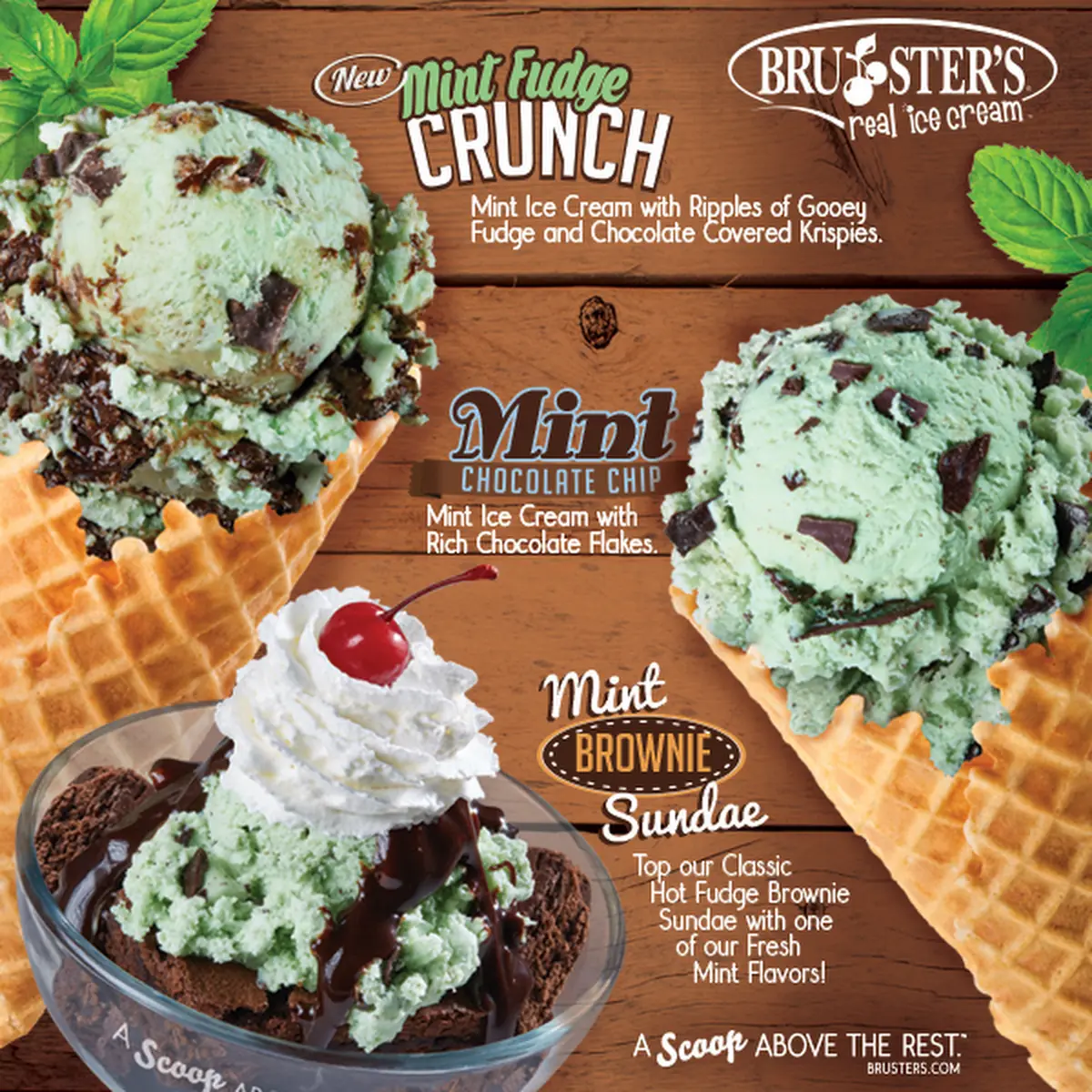 Mint Chocolate Chip