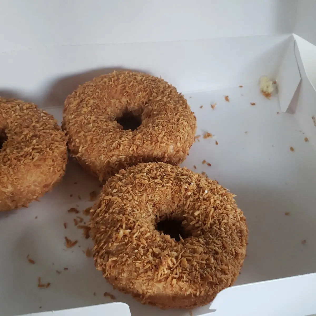 Toasted Coconut Donuts