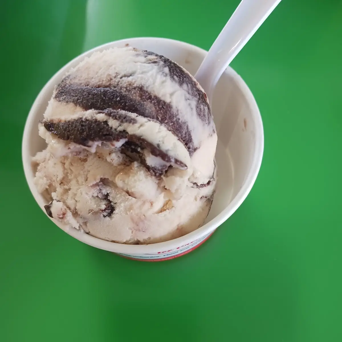 Chocolate Turtle Sugar Free Single Scoop
