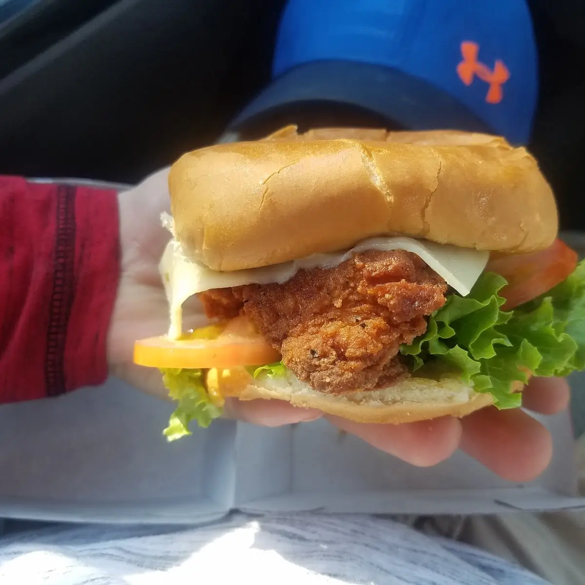 Spicy Deluxe Sandwich