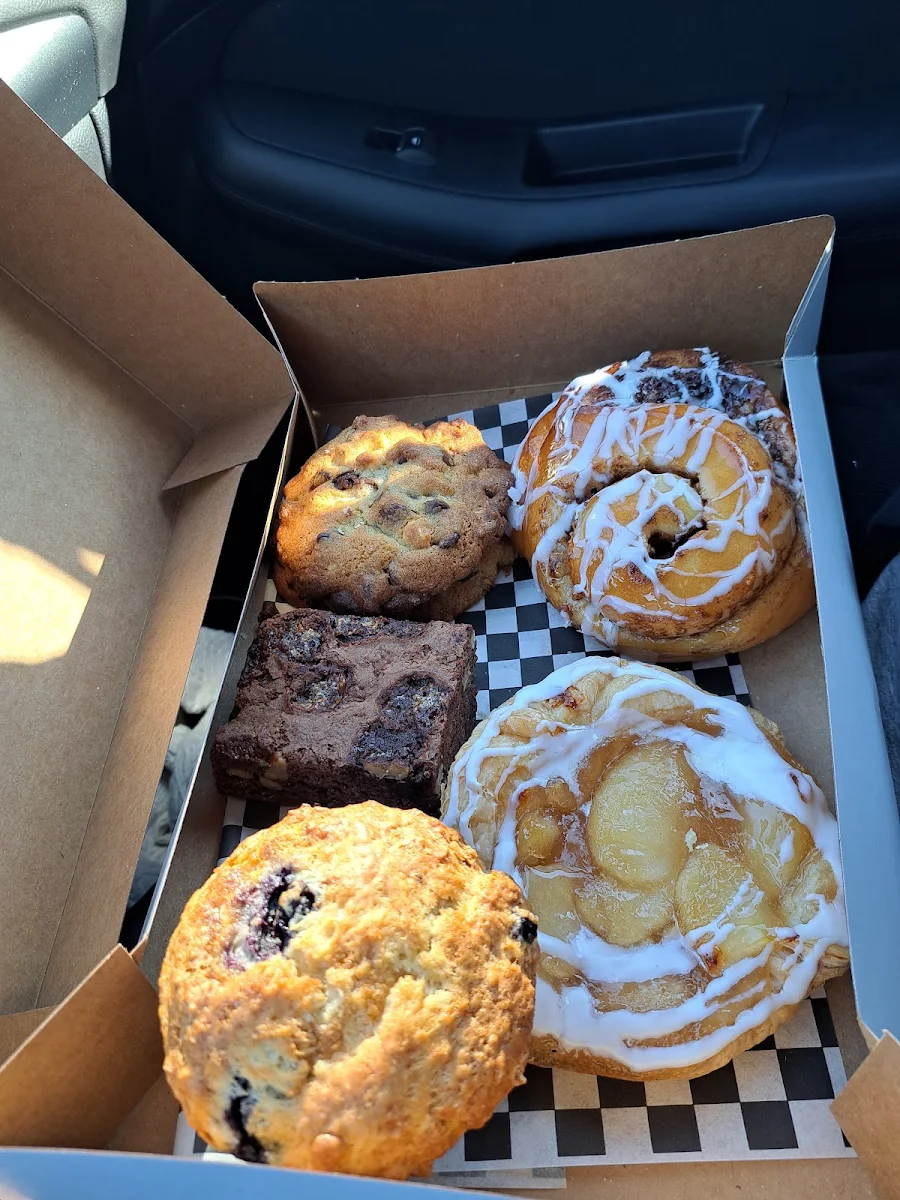 Blueberry Muffin