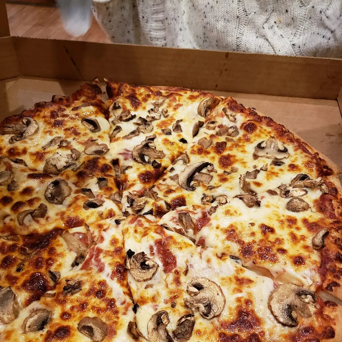 Thin Crust Cheese and Mushroom Pizza