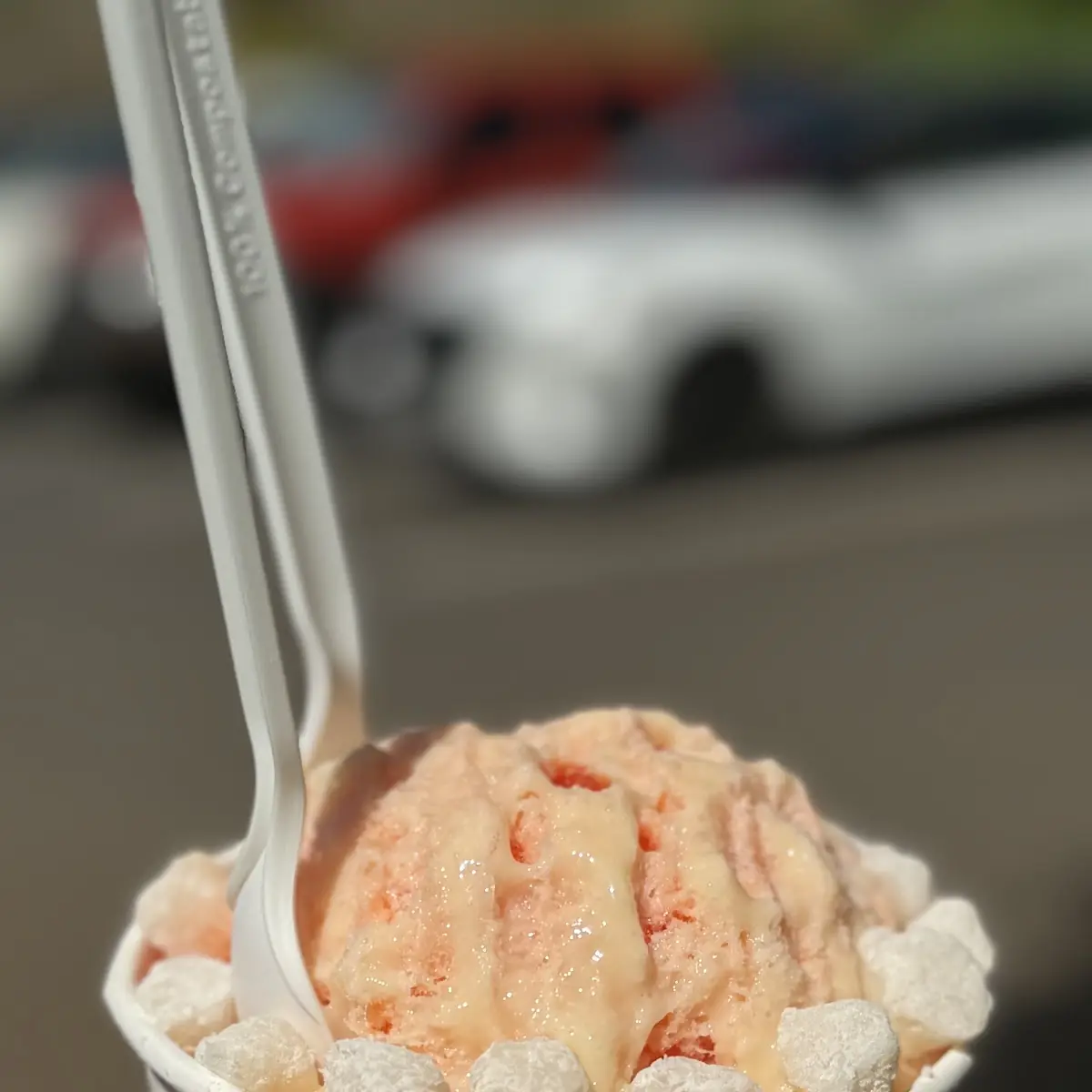 Shaved Ice