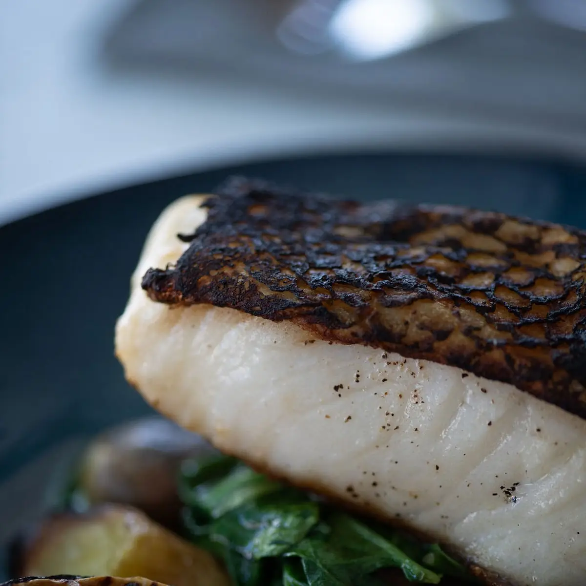 Sea Bass