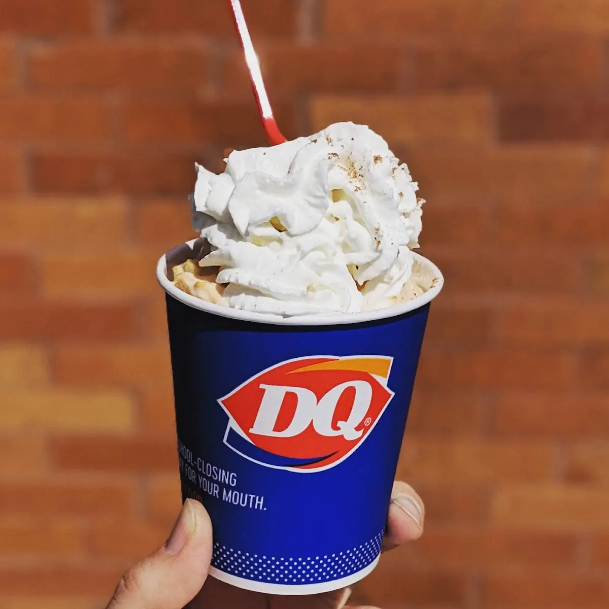 Pumpkin Pie Blizzard