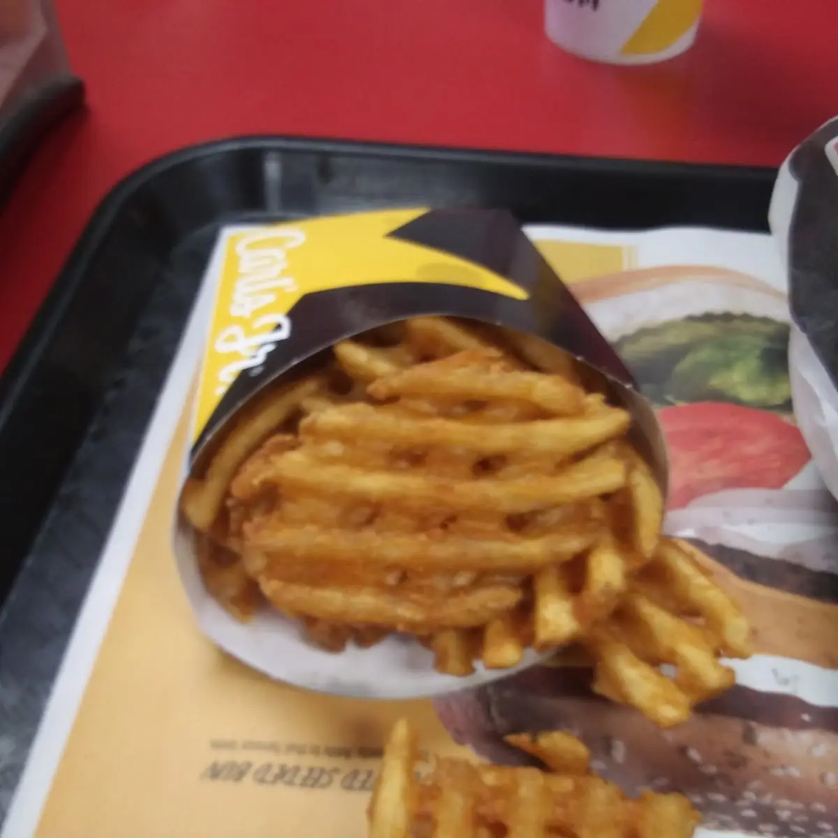Crisp Cut Fries