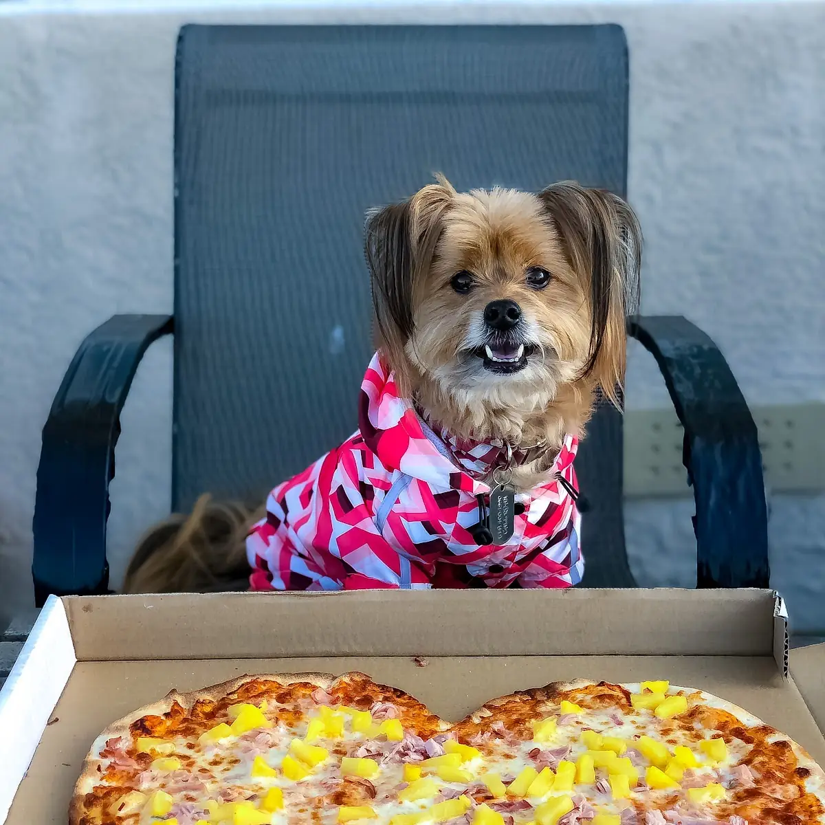 Hawaiian Pizza