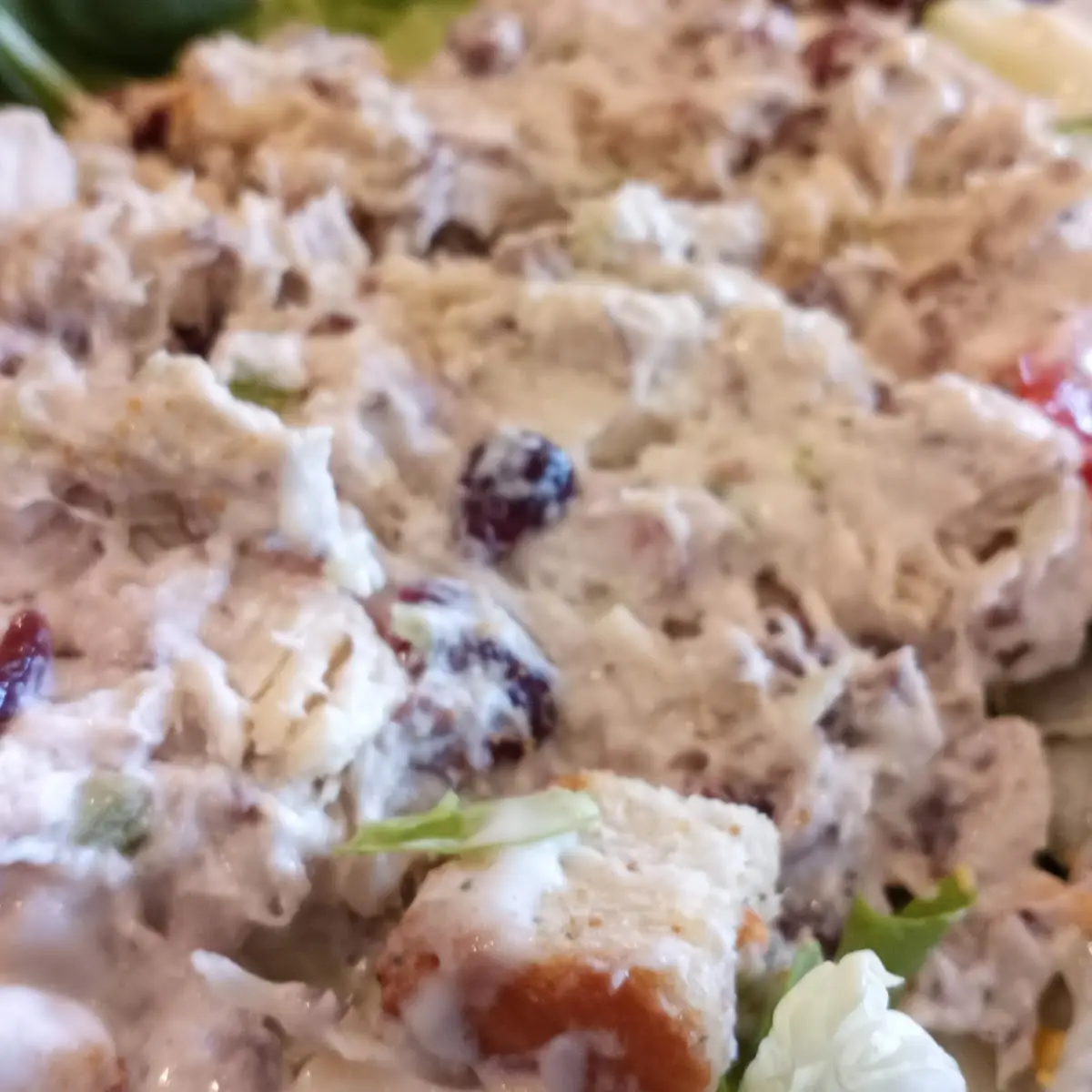 Harvest Chicken Salad Contains Pecans