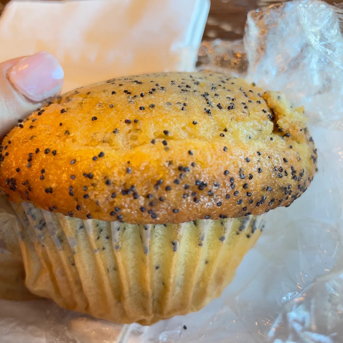 HG - Lemon Poppy Muffin