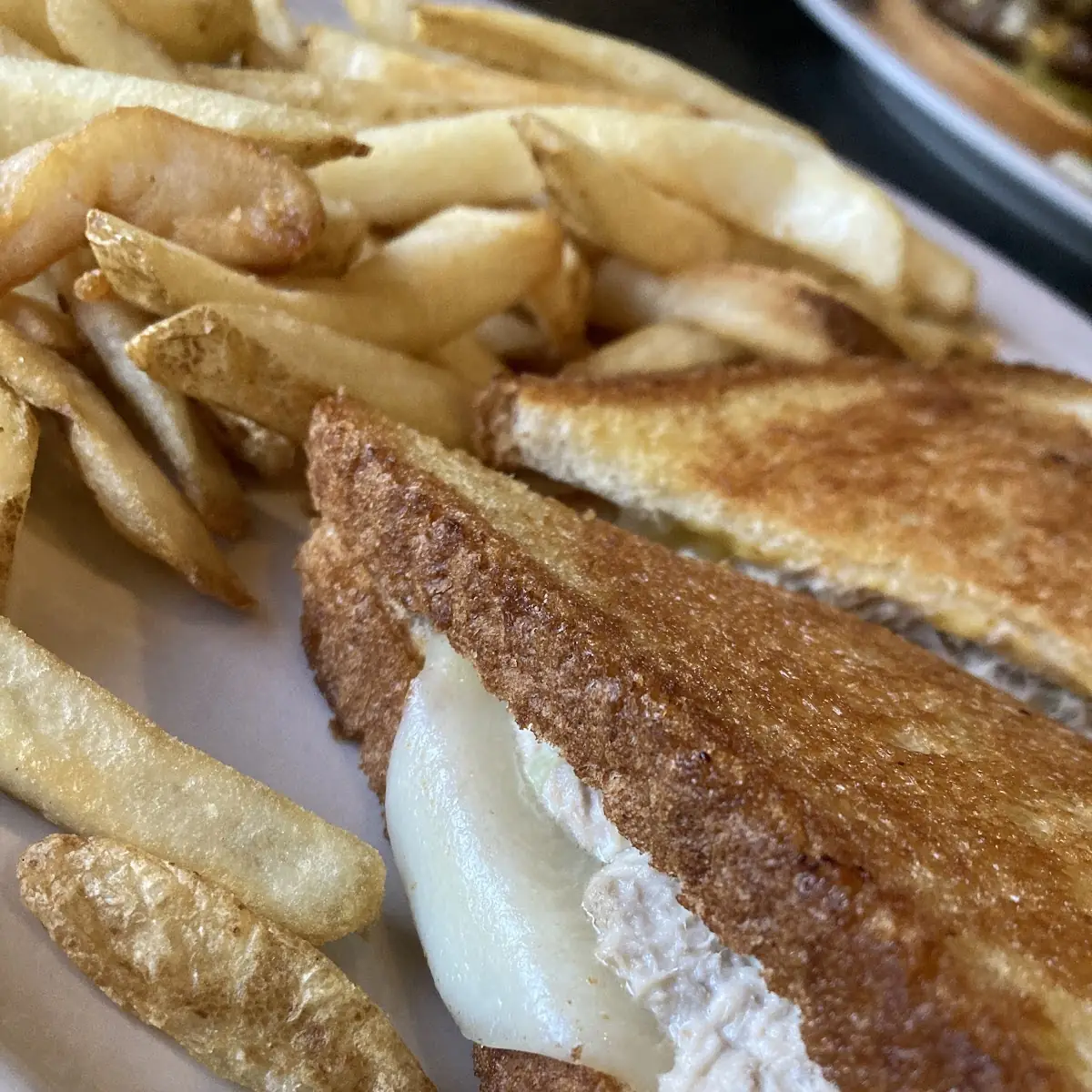 Tuna Melt with Fries