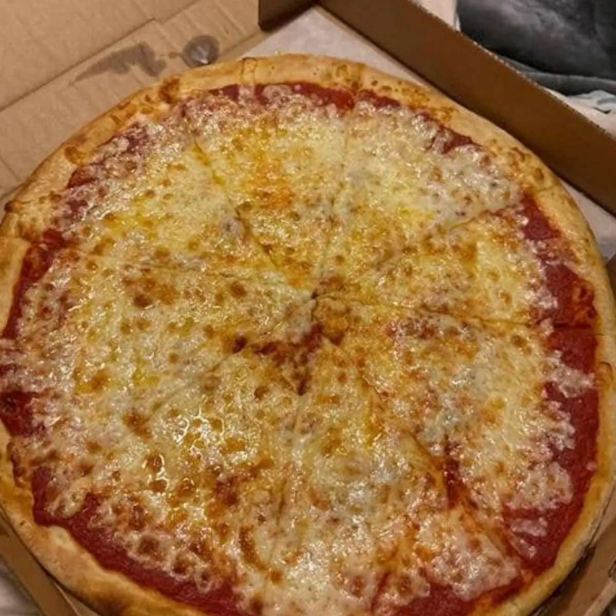 Extra Sauce and Extra Cheese Pizza