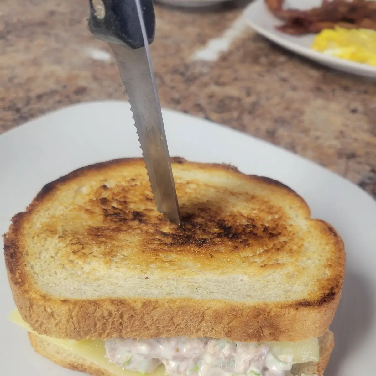 Tuna Melt All White Meat